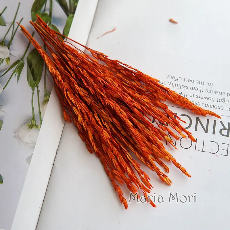 5g Dried and Dyed Broomcorn for Resin Crafts