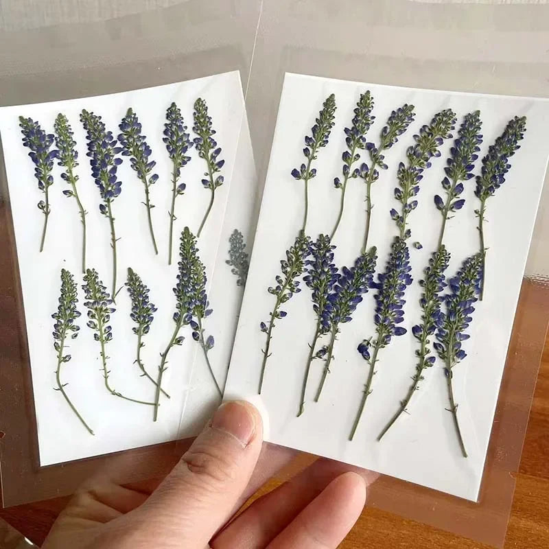 3-6cm/24 Pieces Dried Lavender Flowers for Epoxy Resin Crafts