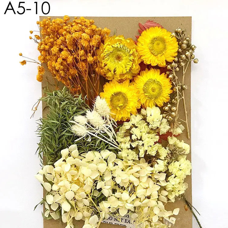 Dried Flowers for Art or Craft Projects and Adding to Resin Molds