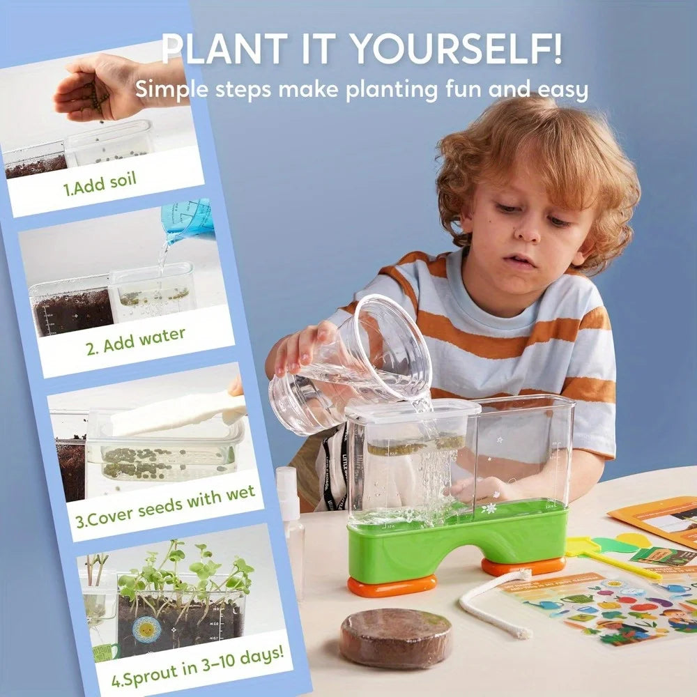 Root Viewer Planting Science Kit for Kids Aged 6+ - STEM Learning