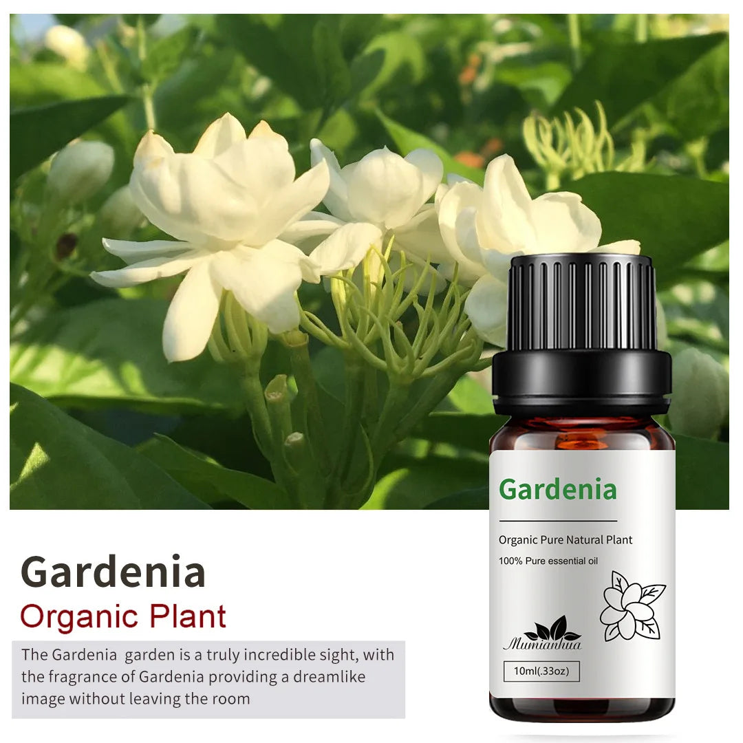 10ml Bottles of Organic Essential Oils for Candle Making