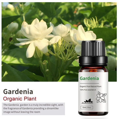 10ml Bottles of Organic Essential Oils for Candle Making