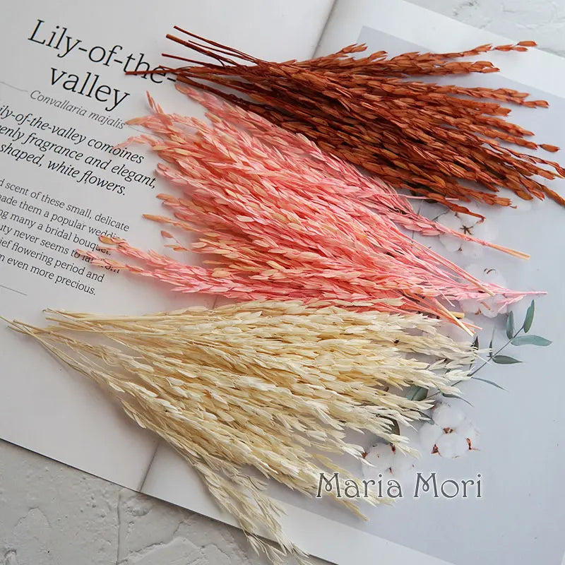 5g  Dried and Dyed Broomcorn for Resin Crafts