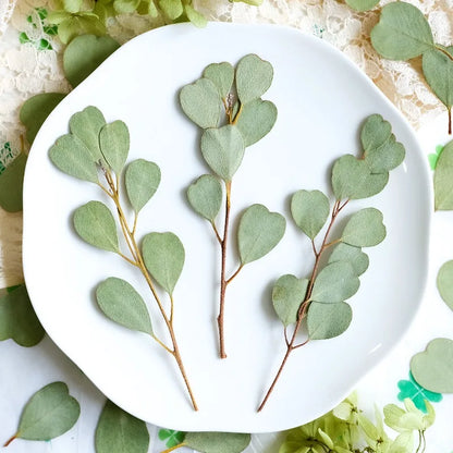 Heart-shaped Eucalyptus Dried Leaves for Resin Crafts