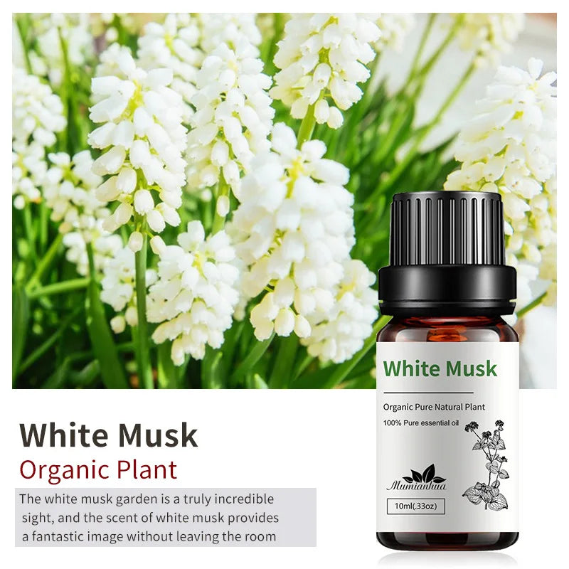 10ml Bottles of Organic Essential Oils for Candle Making