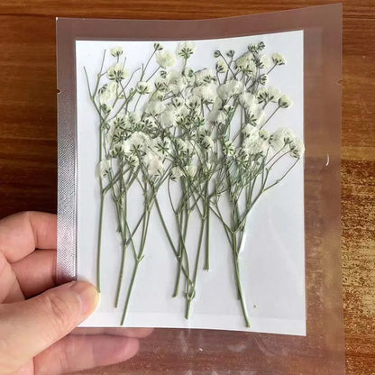 Natural Dried Flowers for Resin Projects