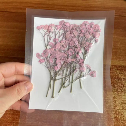 Natural Dried Flowers for Resin Projects