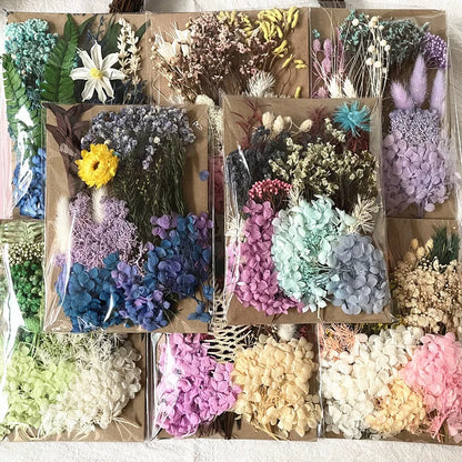 Dried Flowers for Art or Craft Projects and Adding to Resin Molds