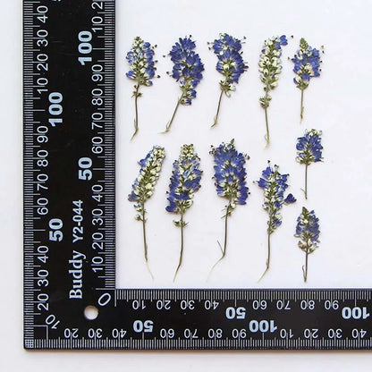 3-6cm/24 Pieces Dried Lavender Flowers for Epoxy Resin Crafts