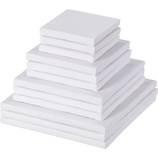 10PCS Artists Canvas for Acrylic or Oil Painting in various sizes