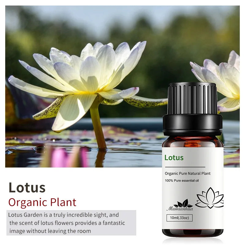 10ml Bottles of Organic Essential Oils for Candle Making