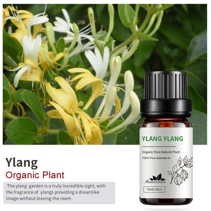 10ml Bottles of Organic Essential Oils for Candle Making