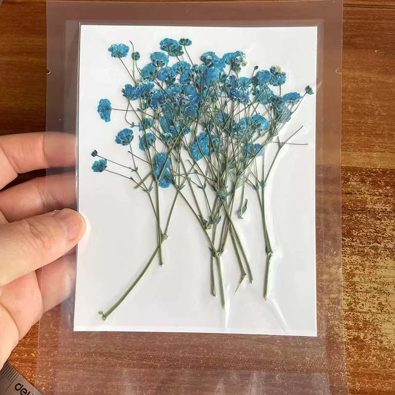 Natural Dried Flowers for Resin Projects