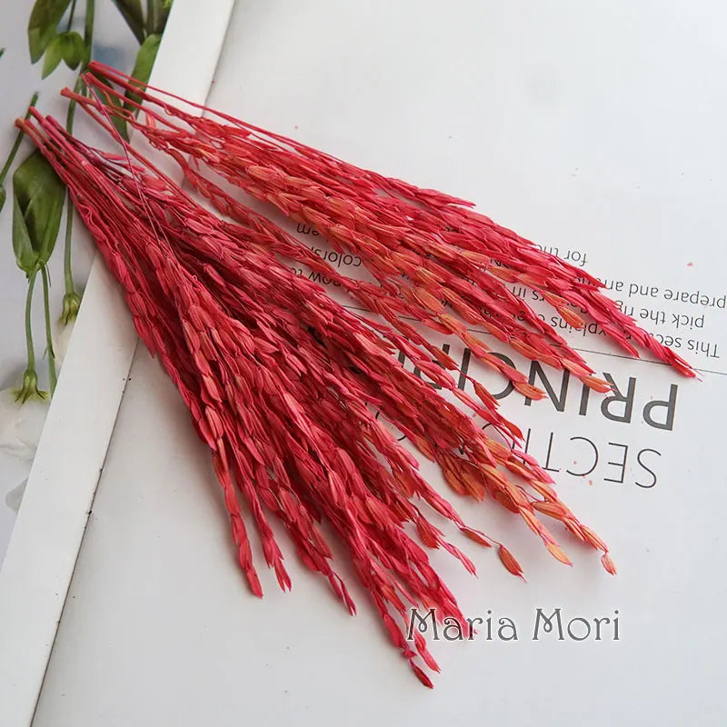 5g  Dried and Dyed Broomcorn for Resin Crafts