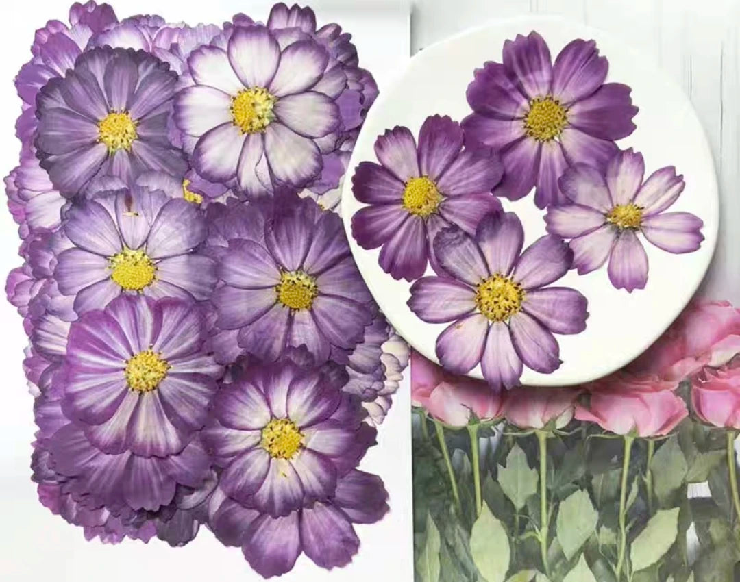 Pressed Dried Cosmos Flower For Epoxy Resin Jewelry and Decorating Other Objects