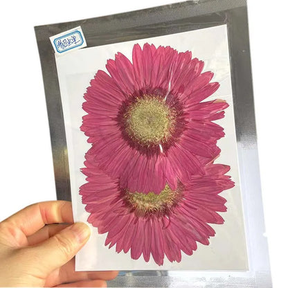 6~11cm Natural Pressed Dried Flowers For Epoxy Resin Crafts