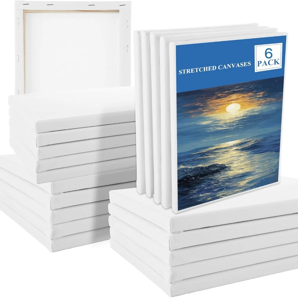 6PC Artist Canvas for Oil or Acrylic Painting - Various Sizes