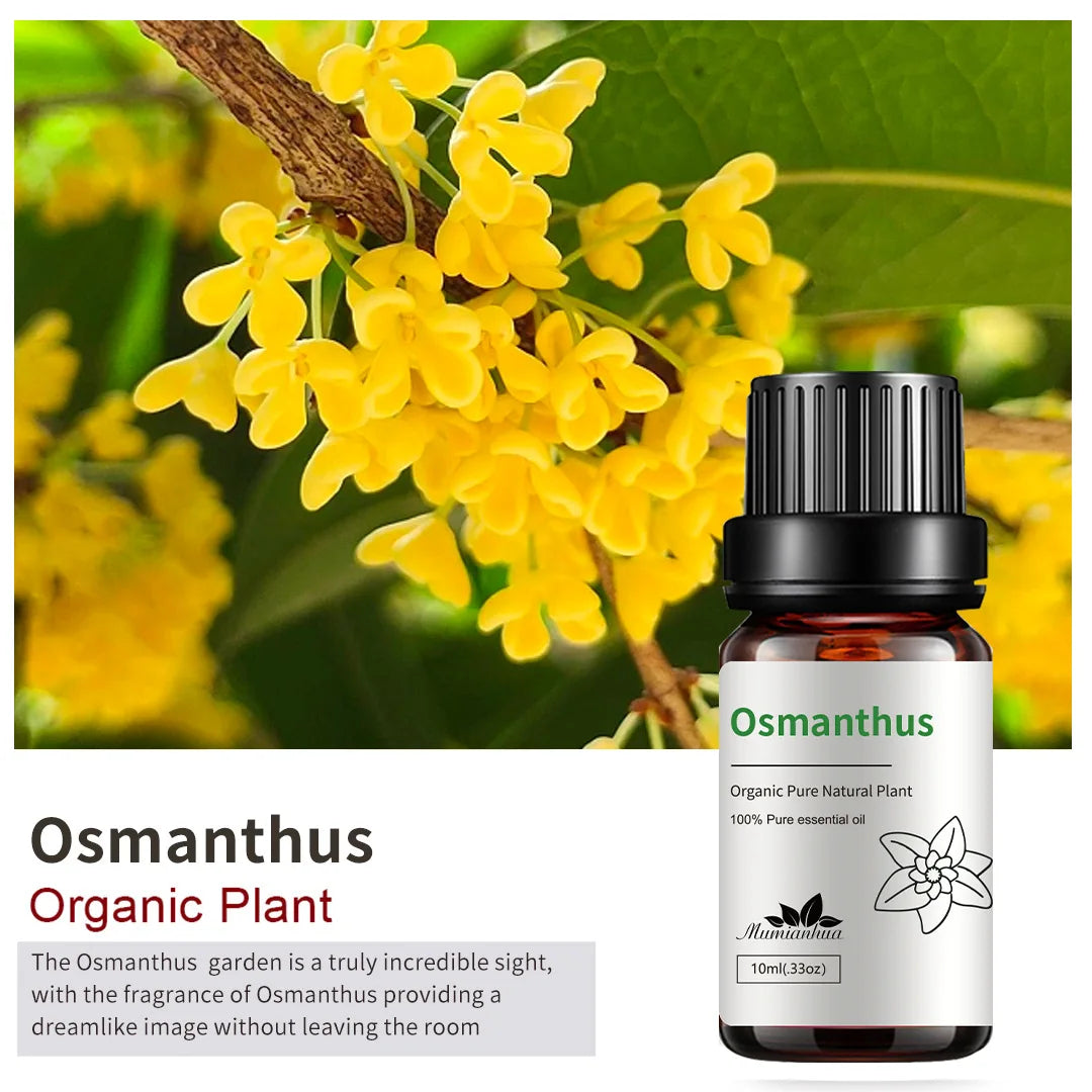 10ml Bottles of Organic Essential Oils for Candle Making