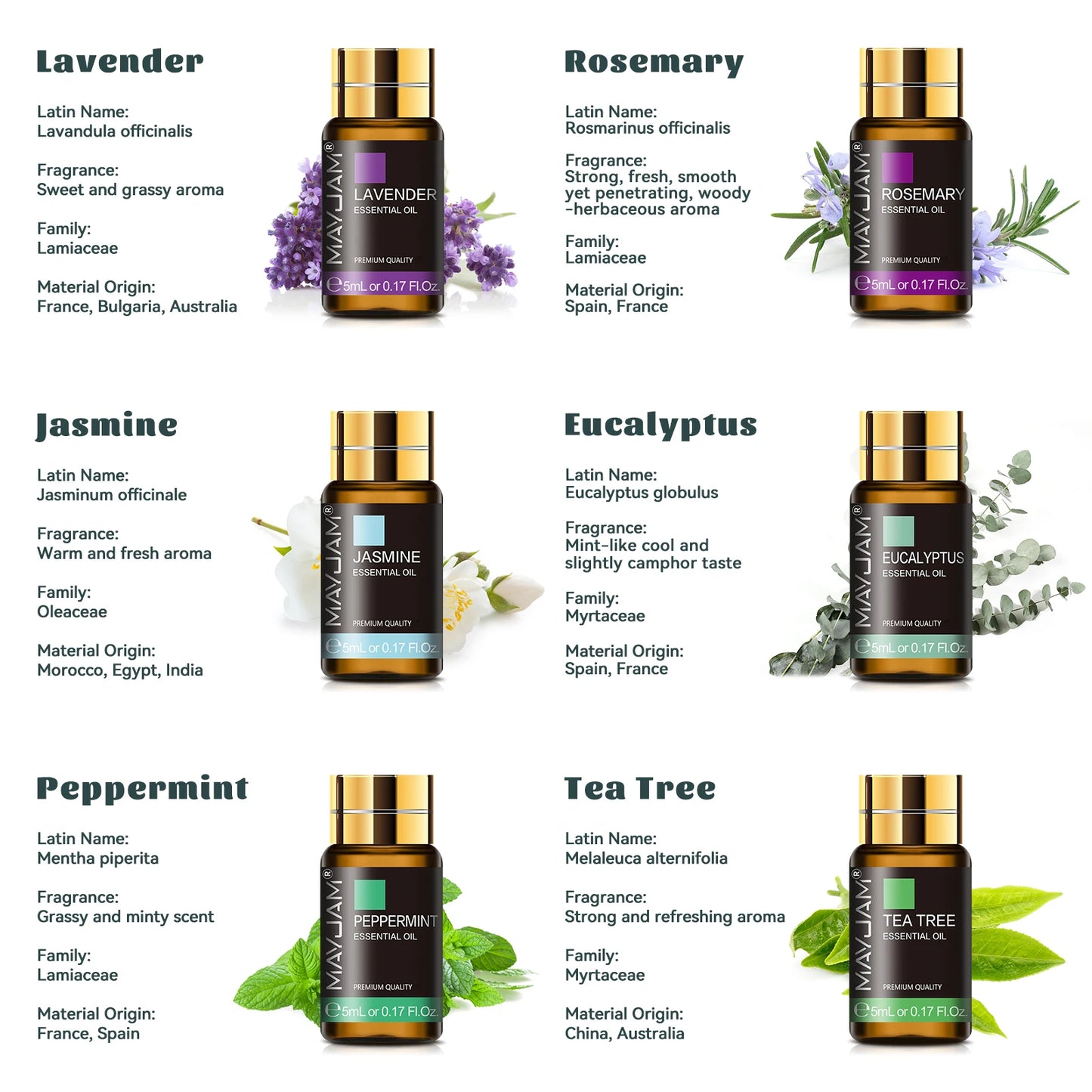 MAYJAM Essential Oils 20 Piece Kit