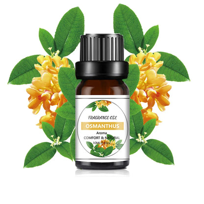 10ML Bottles of Essencial Oils for Candle Making