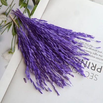 5g  Dried and Dyed Broomcorn for Resin Crafts