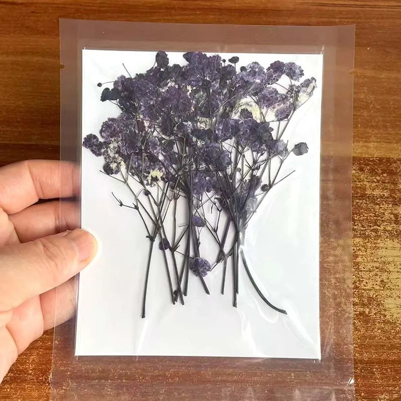 Natural Dried Flowers for Resin Projects