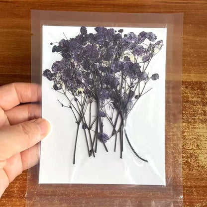Natural Dried Flowers for Resin Projects