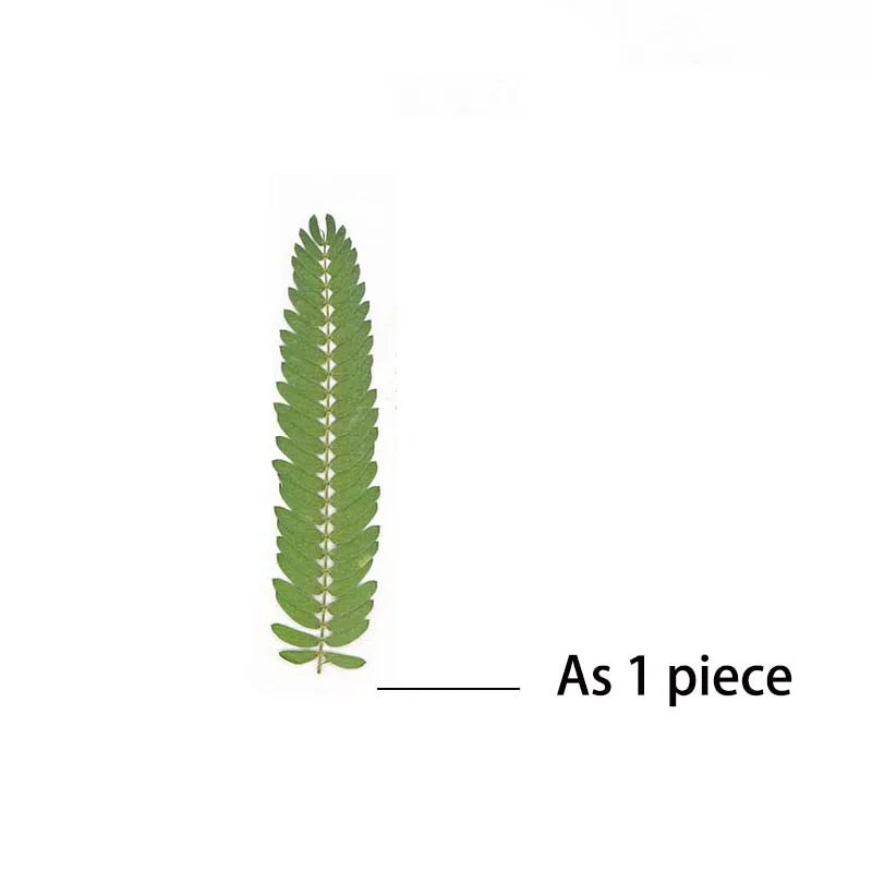 24PCS,7-8CM Dried Pressed LeavesFor Epoxy Resin Crafts