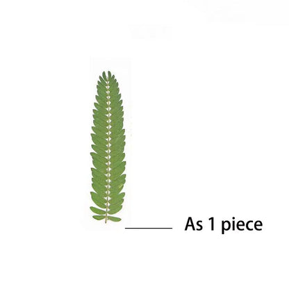 24PCS,7-8CM Dried Pressed LeavesFor Epoxy Resin Crafts