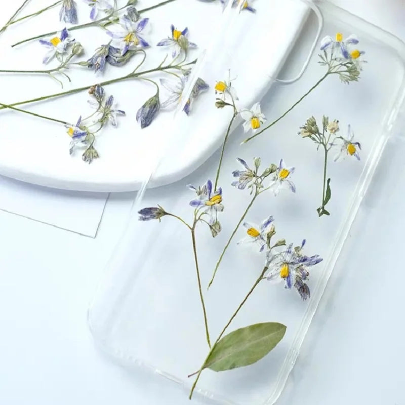 50pcs Pressed Dried Iris Flowers for Resin Crafts