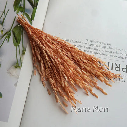 5g  Dried and Dyed Broomcorn for Resin Crafts
