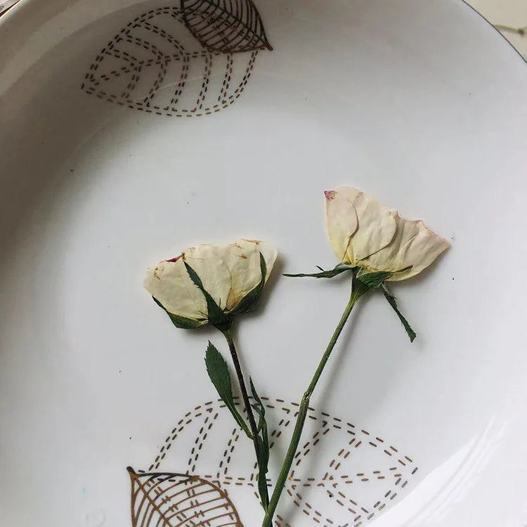 Side Pressed Dried Roses with Stems for Resin Crafts