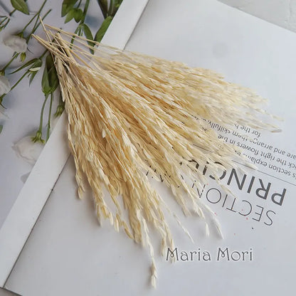 5g  Dried and Dyed Broomcorn for Resin Crafts