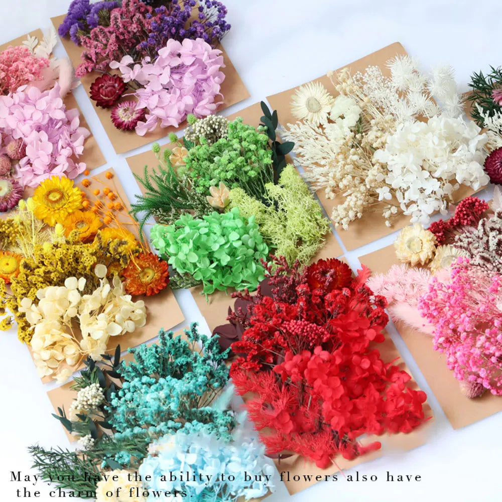 Real Dried Flowers for Epoxy Resin Casting Molds