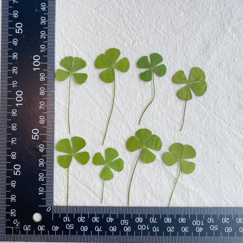 24pcs Four Leaf Clover For Epoxy Resin Crafts