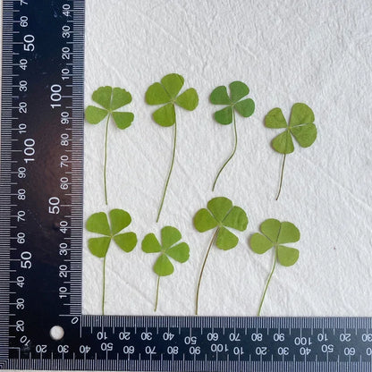 24pcs Four Leaf Clover For Epoxy Resin Crafts