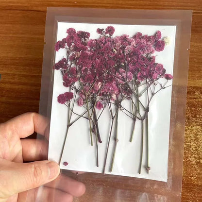 Natural Dried Flowers for Resin Projects