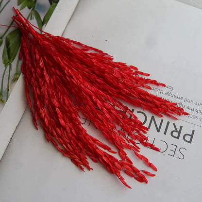 5g  Dried and Dyed Broomcorn for Resin Crafts