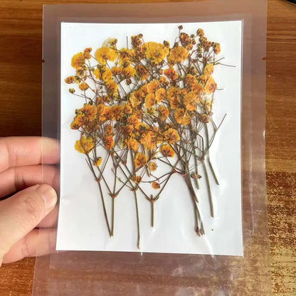 Natural Dried Flowers for Resin Projects