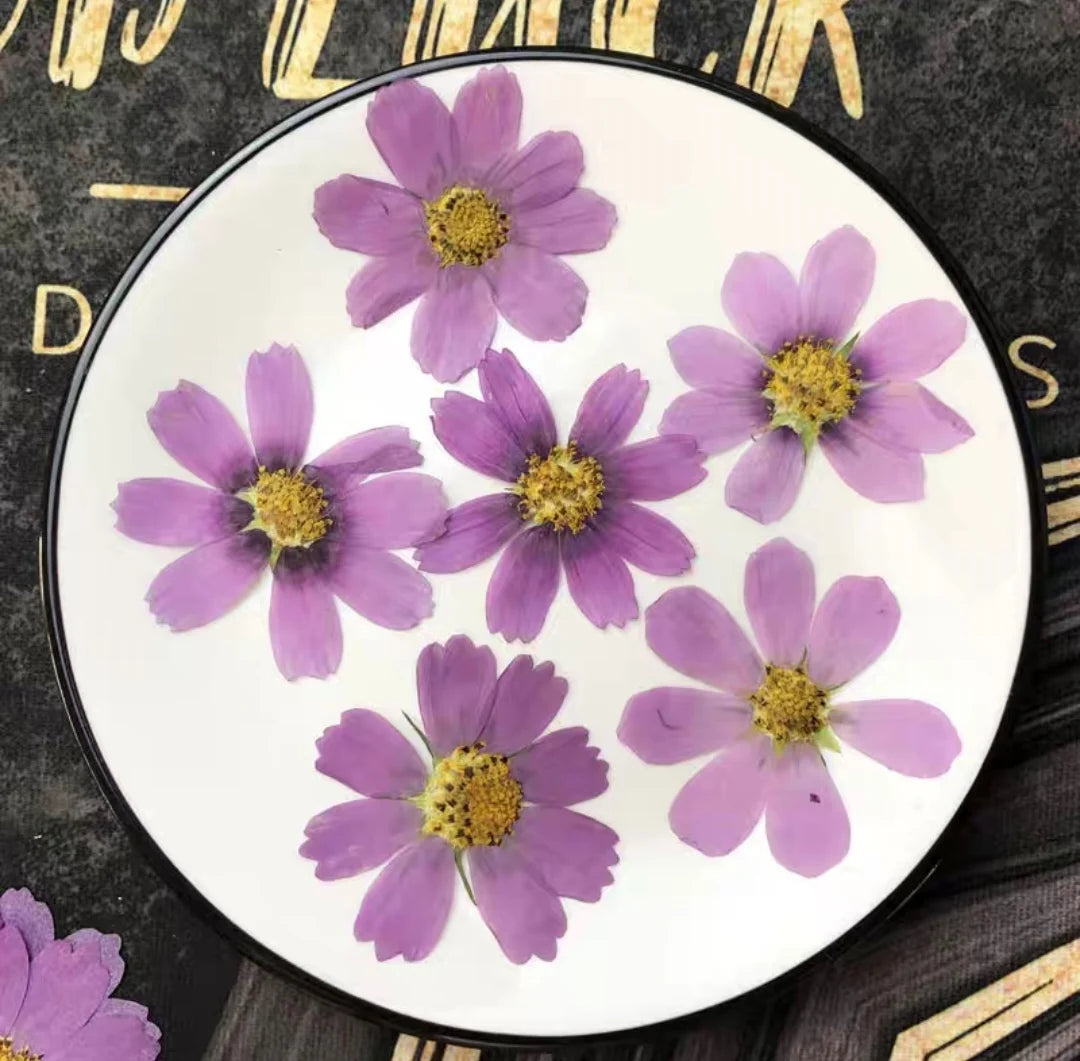 Pressed Dried Cosmos Flower For Epoxy Resin Jewelry and Decorating Other Objects