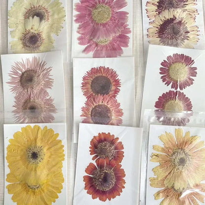 6~11cm Natural Pressed Dried Flowers For Epoxy Resin Crafts