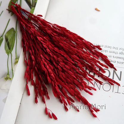 5g  Dried and Dyed Broomcorn for Resin Crafts