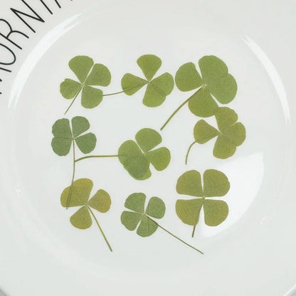 24pcs Four Leaf Clover For Epoxy Resin Crafts