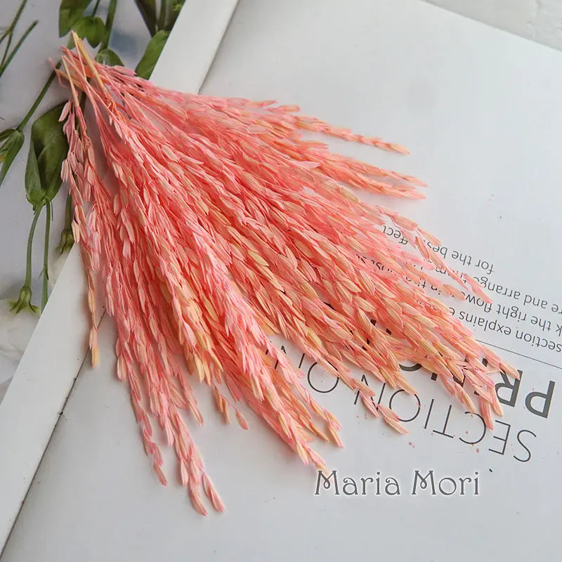 5g  Dried and Dyed Broomcorn for Resin Crafts