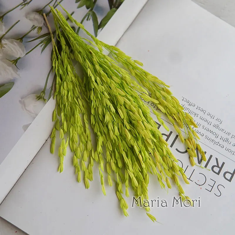 5g  Dried and Dyed Broomcorn for Resin Crafts