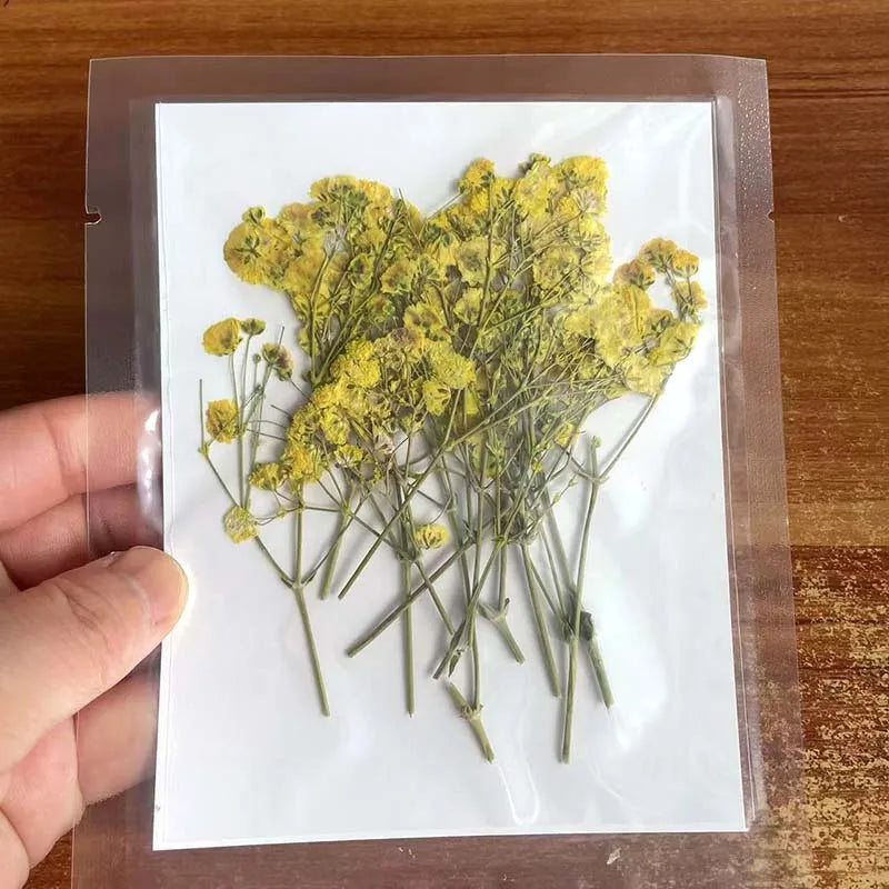 Natural Dried Flowers for Resin Projects