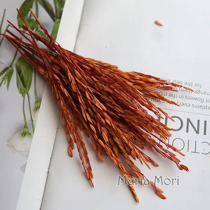 5g  Dried and Dyed Broomcorn for Resin Crafts