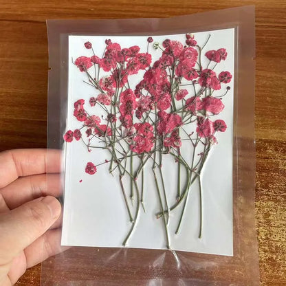 Natural Dried Flowers for Resin Projects