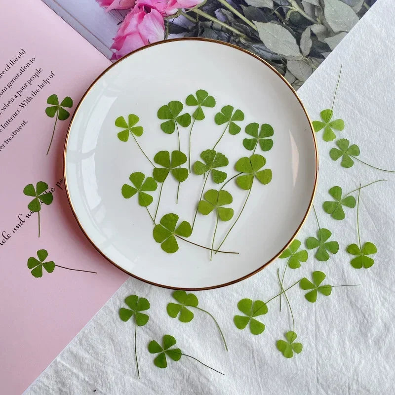 24pcs Four Leaf Clover For Epoxy Resin Crafts