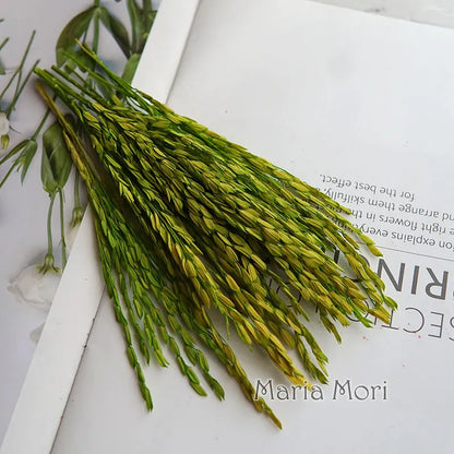 5g  Dried and Dyed Broomcorn for Resin Crafts